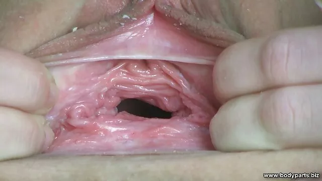 食欲を刺激するのに最適です 鈴木 一徹 エロ ビデオ