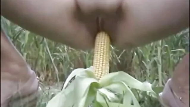 私は私の猫を得た！ 女性 が 見る エロ 動画