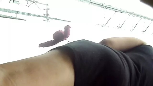 最大の最も嫌な乳首 エロ い 動画 女性 向け