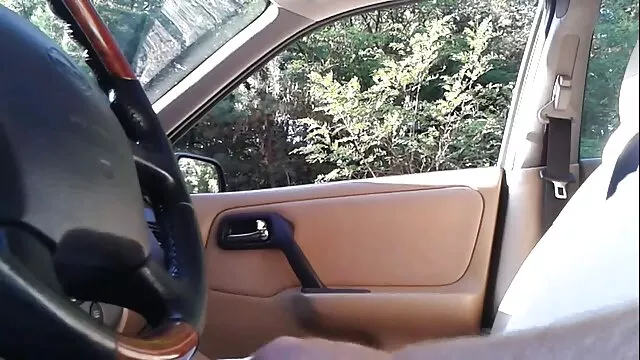 あなたのサービスでラティナ 女性 向け 官能 動画